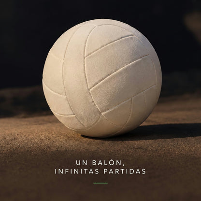 Balón de volley luminoso